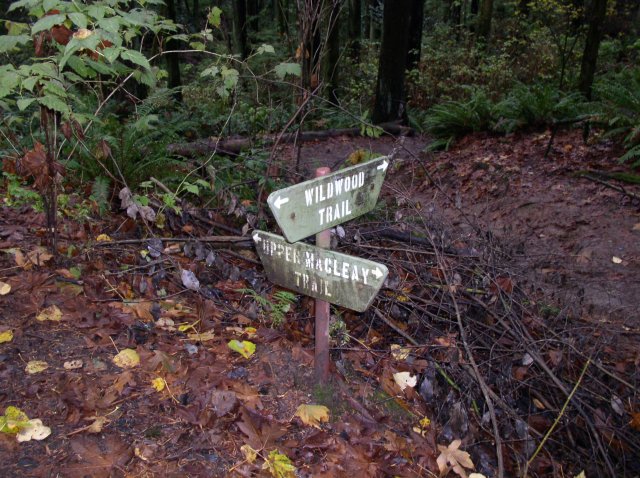 11.13.05 Arboretum-Pittock Mansion-Macleay Park 037 